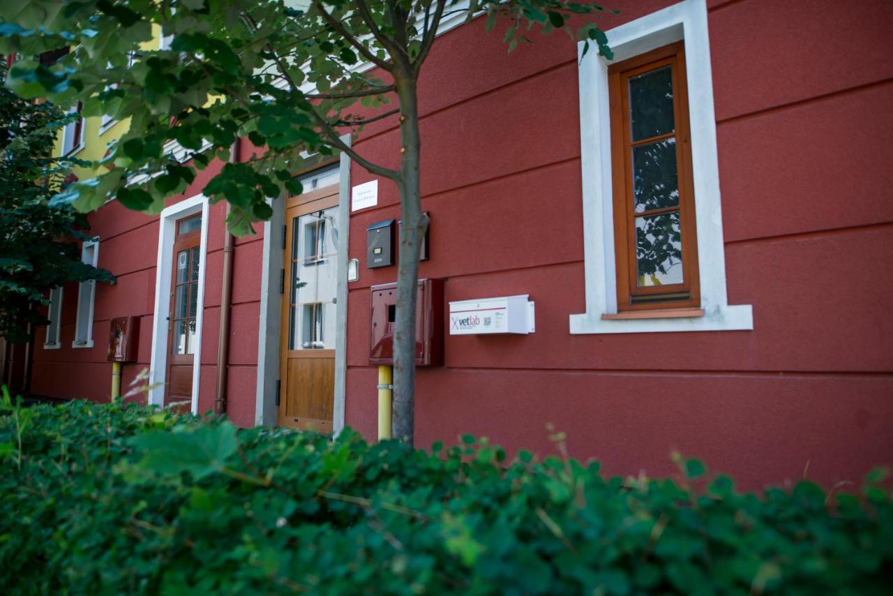 Apartamenty Centrum Biskupiec Biskupiec  Εξωτερικό φωτογραφία